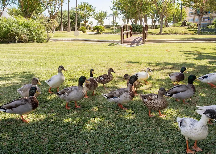 Sunstay Costa Flat Ii Apartment *