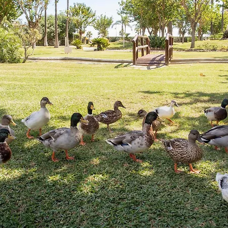 Sunstay Costa Flat Ii Apartamento *